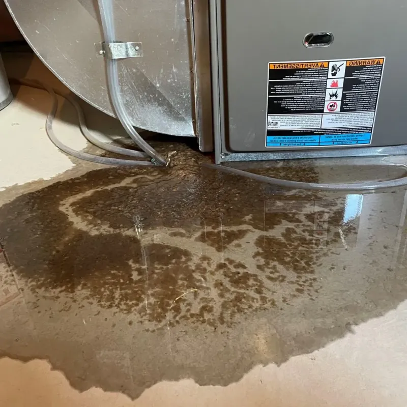 Pipe Burst and Leak Restoration in Winterset, IA