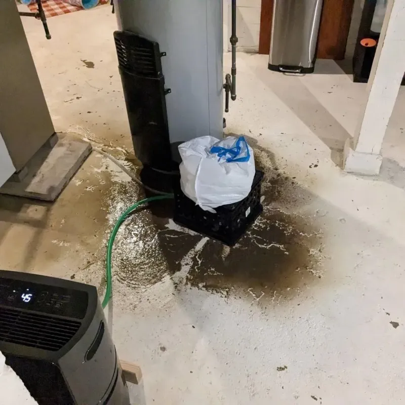 Sewage Backup Cleanup Service in Winterset, IA